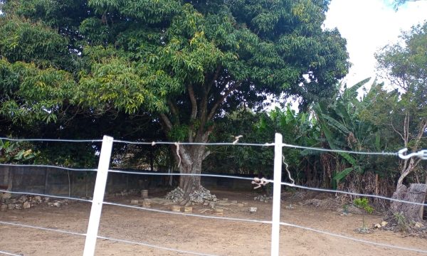 Casa no Centro (21)