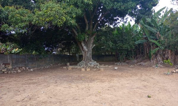 Casa no Centro (28)