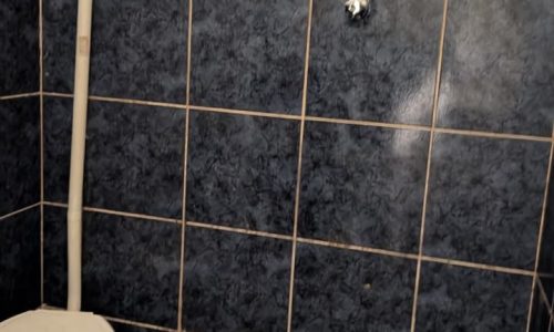 Casa no Centro com Garagem (3)