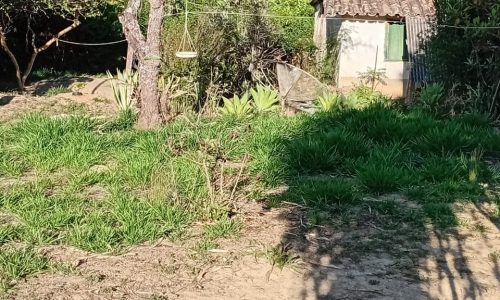 Chácara Cida (9)