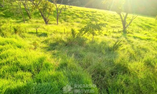 Fazenda Bela Vista (22)