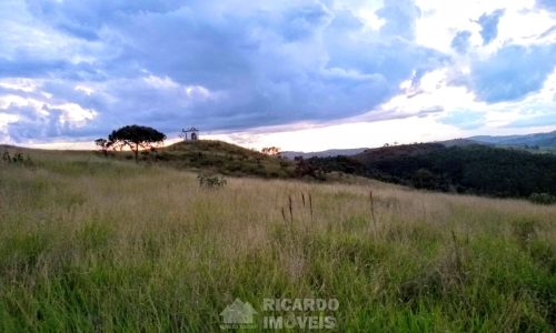 Fazenda Bela Vista (25)