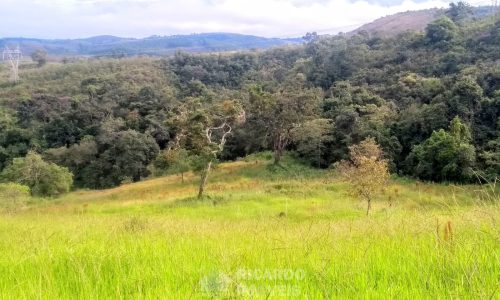 Fazenda Bela Vista (29)