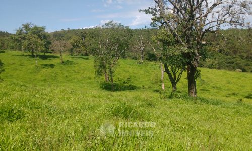 Fazenda Bela Vista (3)