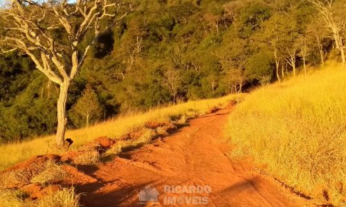 Fazenda Bela Vista (40)