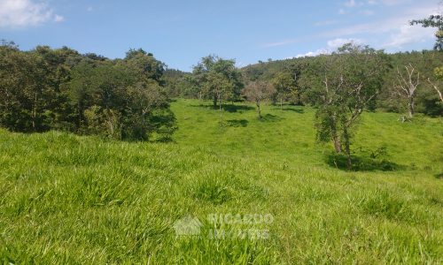 Fazenda Bela Vista (42)