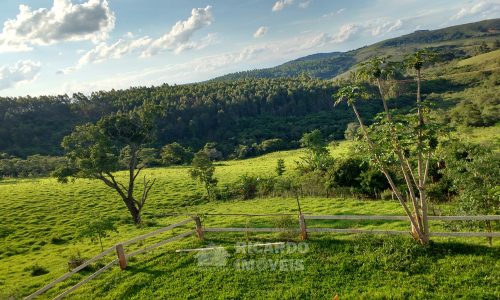 Fazenda Bela Vista (46)