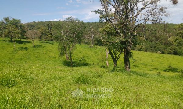Fazenda Bela Vista (47)