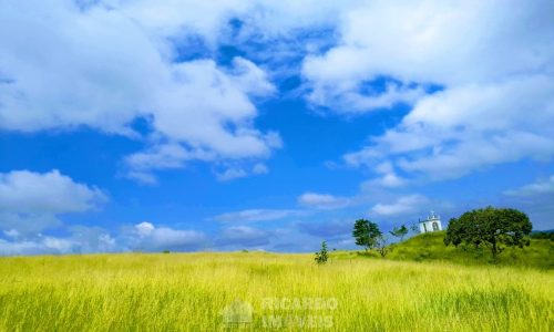 Fazenda Bela Vista (8)