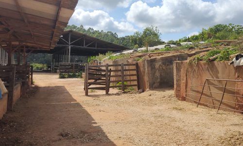 Fazenda Luiz (10)