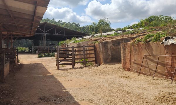 Fazenda Luiz (11)