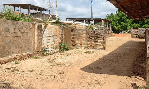 Fazenda Luiz (13)