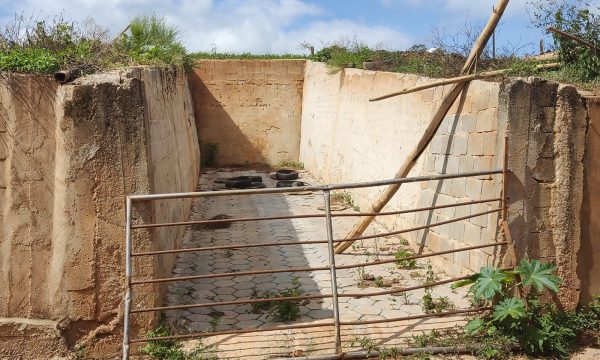 Fazenda Luiz (16)