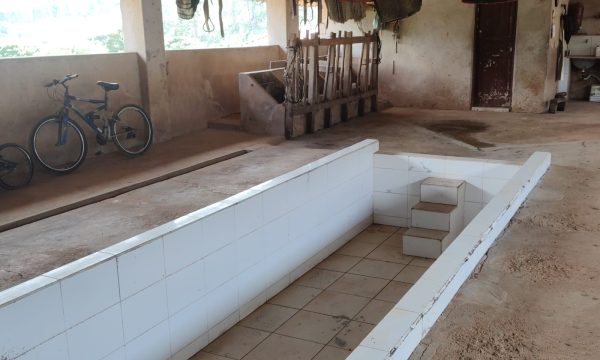 Fazenda Luiz (17)