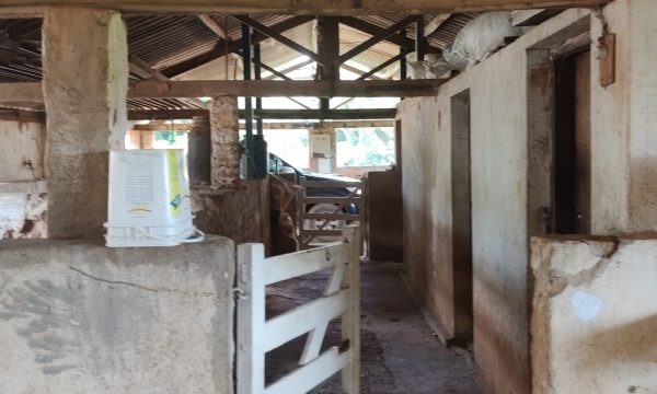 Fazenda Luiz (18)