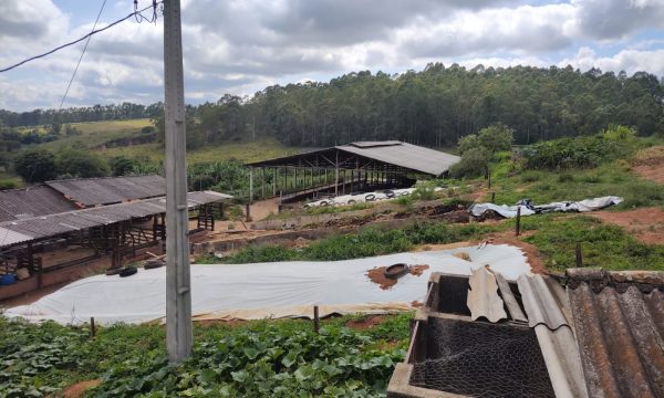 Fazenda Luiz (19)