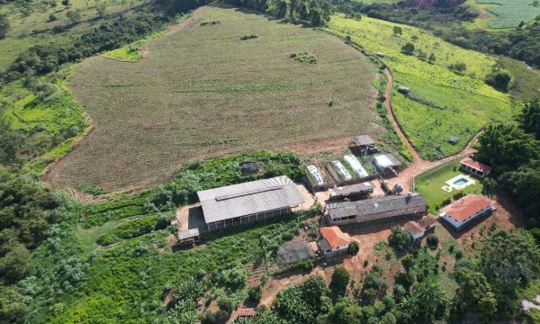 Fazenda Luiz (21)