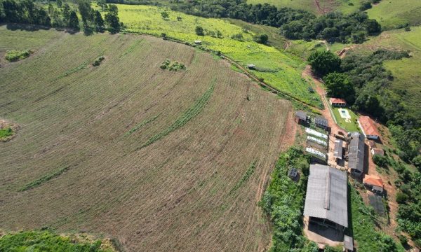 Fazenda Luiz (22)