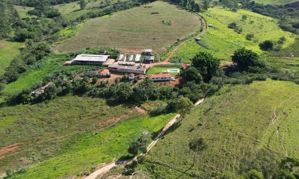 Fazenda Luiz (24)