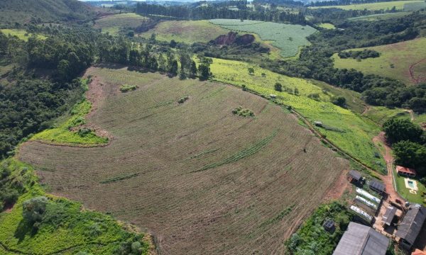 Fazenda Luiz (25)