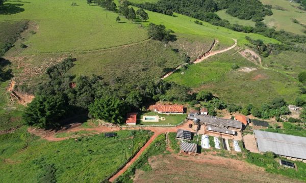 Fazenda Luiz (26)