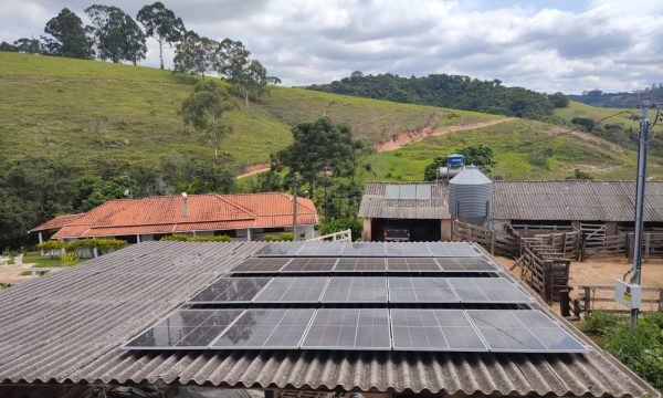 Fazenda Luiz (4)