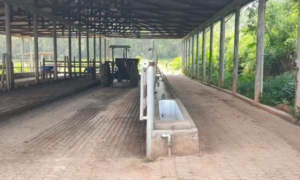Fazenda Luiz (6)