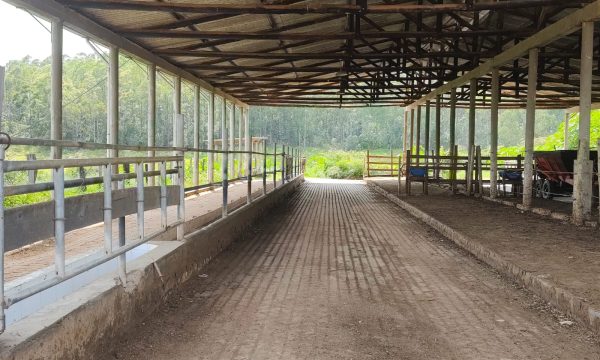 Fazenda Luiz (7)