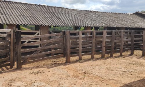 Fazenda Luiz (9)