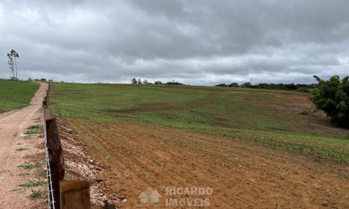 Fazenda Monte Carmo (10)