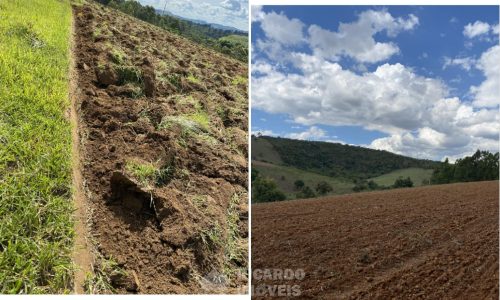 Fazenda Monte Carmo (11)