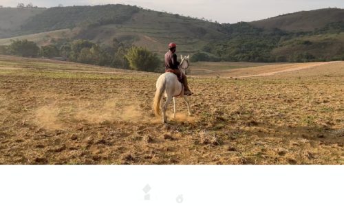 Fazenda Monte Carmo (12)