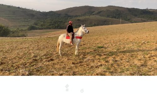 Fazenda Monte Carmo (13)