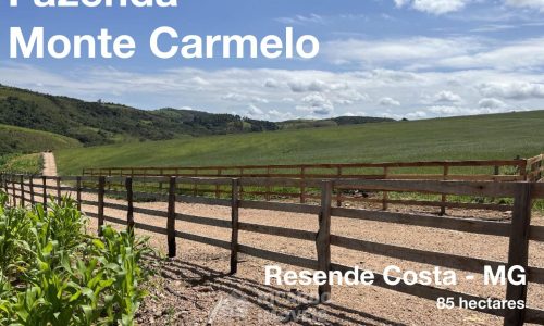 Fazenda Monte Carmo (21)