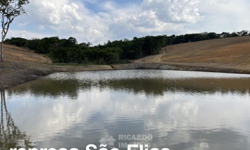 Fazenda Monte Carmo (24)