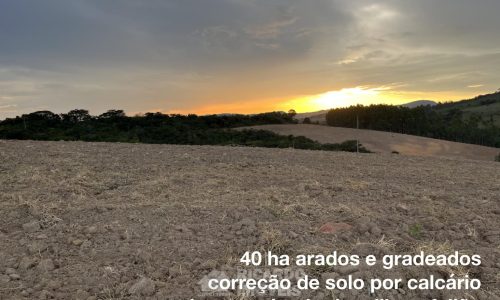 Fazenda Monte Carmo (4)