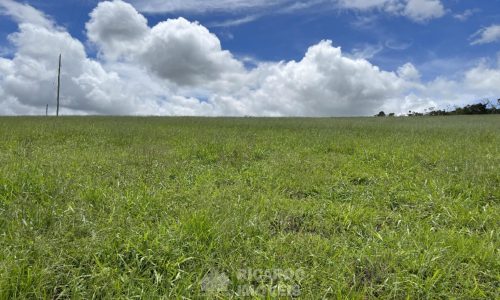 Fazenda Monte Carmo (6)