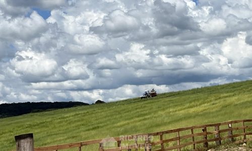 Fazenda Monte Carmo (9)