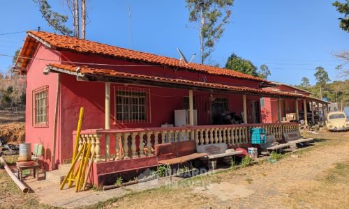Fazenda no Fundo da Mata (1)