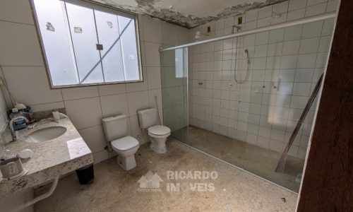 Fazenda no Fundo da Mata (11)