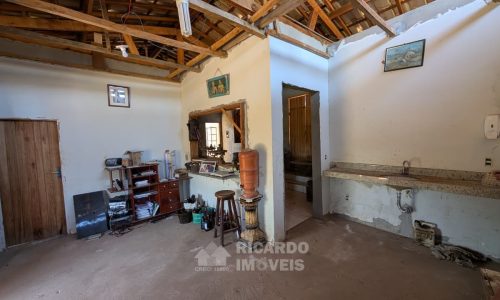 Fazenda no Fundo da Mata (13)