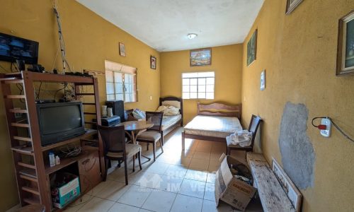 Fazenda no Fundo da Mata (16)