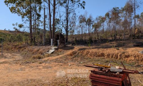 Fazenda no Fundo da Mata (17)