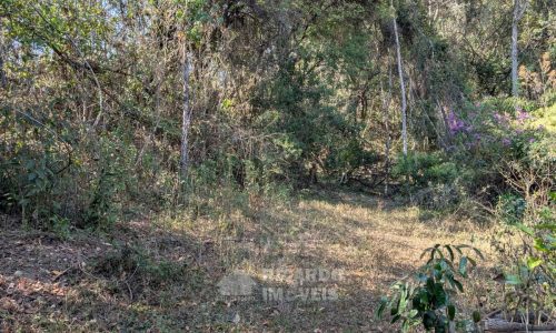 Fazenda no Fundo da Mata (21)