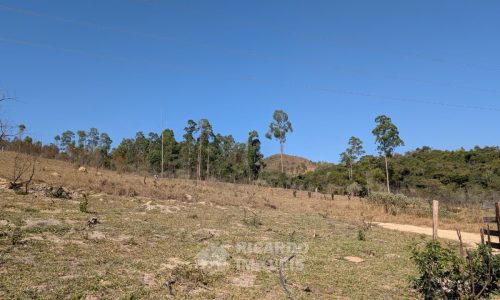 Fazenda no Fundo da Mata (22)