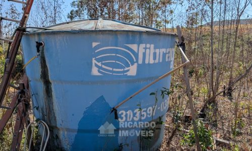 Fazenda no Fundo da Mata (25)