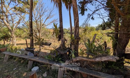 Fazenda no Fundo da Mata (26)
