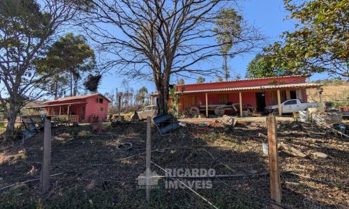 Fazenda no Fundo da Mata (3)