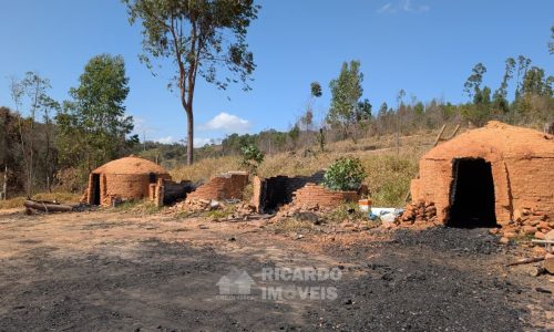 Fazenda no Fundo da Mata (31)
