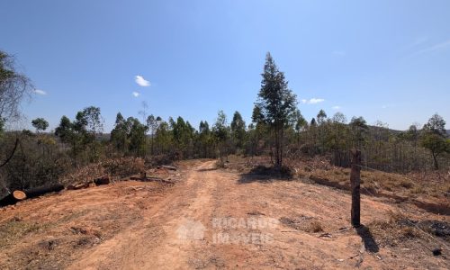 Fazenda no Fundo da Mata (32)